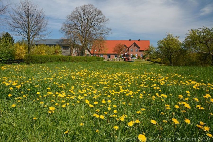 015_boiensdorf_4738_k.jpg