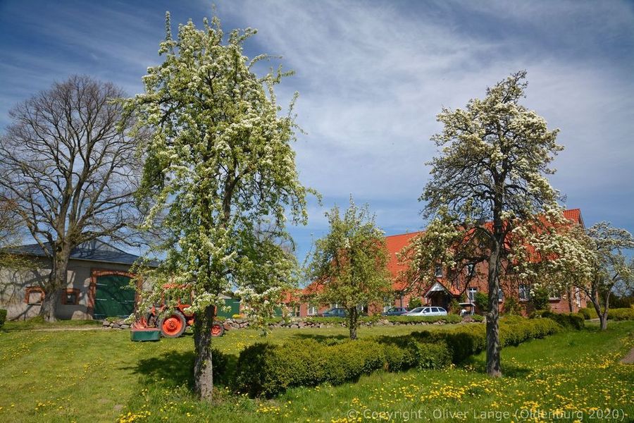 018_boiensdorf_4720_k.jpg
