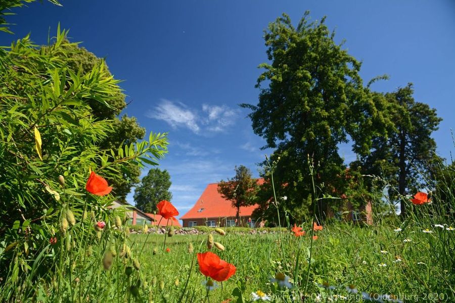 019_hof_brinker_4901_k.jpg