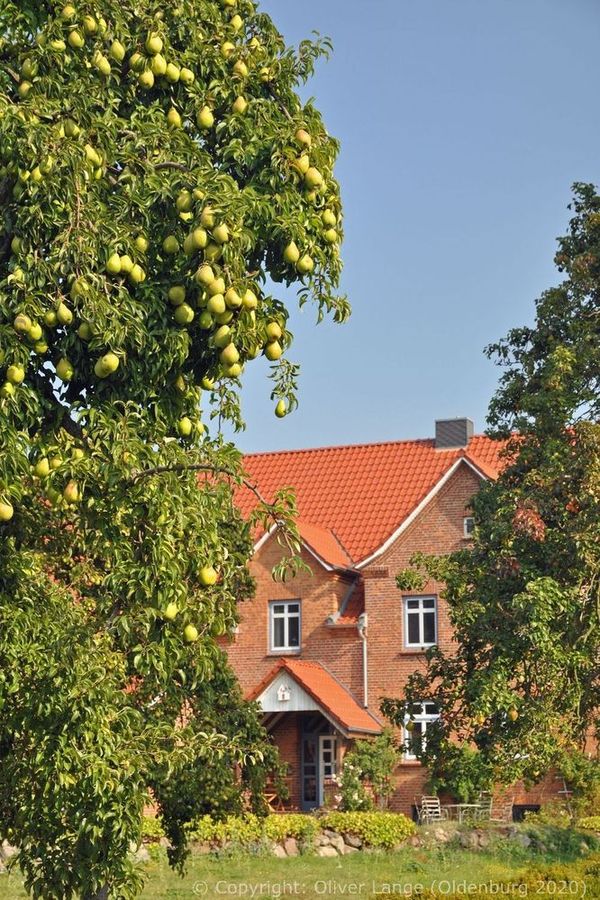 020_boiensdorf_13_k.jpg