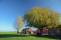 023_hof_brinker_9559_k.jpg