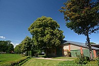 039_hof_brinker_4879_k.jpg