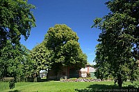 040_hof_brinker_4889_k.jpg