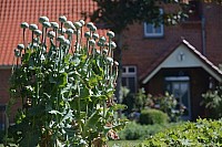 057_hof_brinker_4885_k.jpg